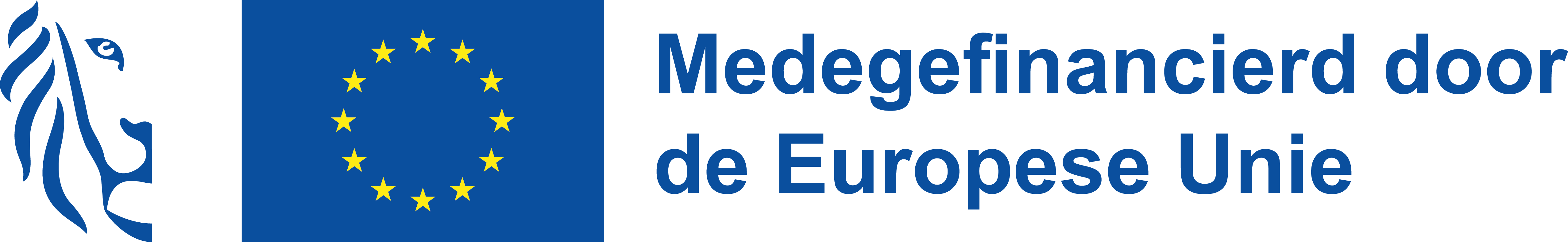 logo steun Vlaanderen + EU